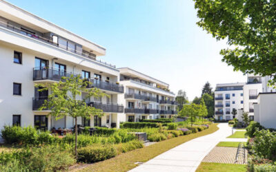 Real Estate & Infrastructure Development